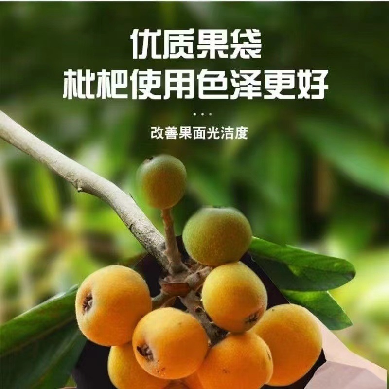 3a909273-ce35-4161-8a33-4eeb2ac0dd32.jpe