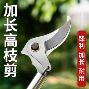 ��֦��������֦�����P䓼����޼�@���軨ϡ����֦�߿ռ���������