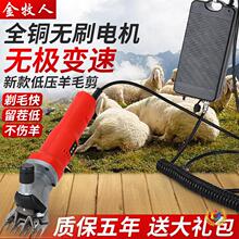 �¿�͉�늄���ë����ë��������ë늼�������ë�C��������늼���