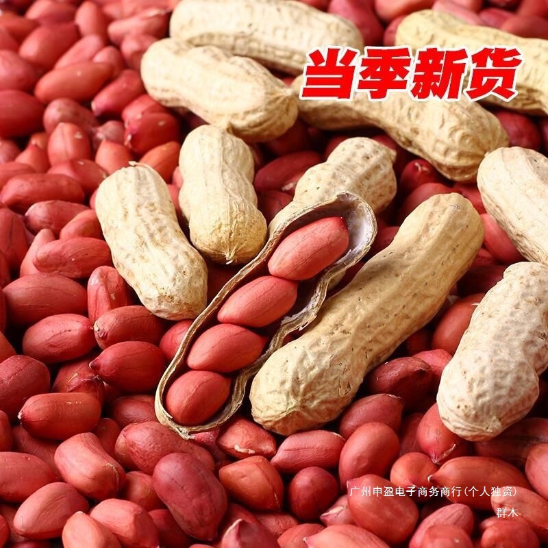 2024年新货新红皮生花生带壳新鲜晒干原味花生铁锅炒货农家花生米|undefined