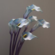 仿真PU小海芋手感马蹄莲仿真花家居插花酒店会所装饰摆设假花花艺