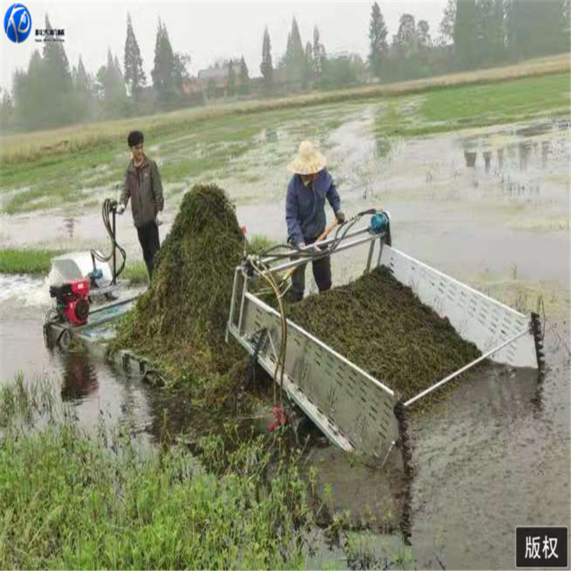 虾塘水草收割船 泡沫浮体割草船 液压水草电动打捞船现货