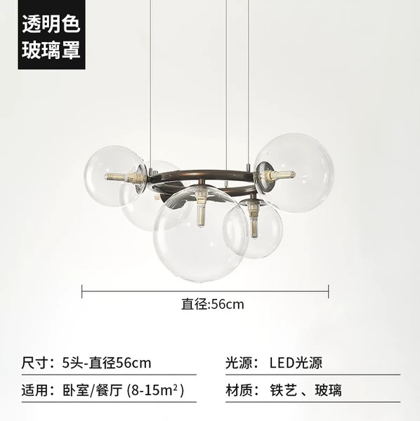 5 heads [transparent lampshade]