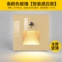感应人体家用酒店台阶灯