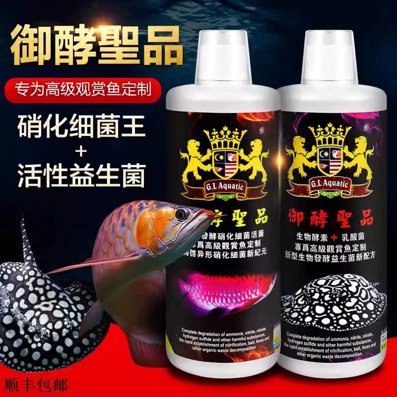 Золотой лев, аквариум, аквариум, кефаль