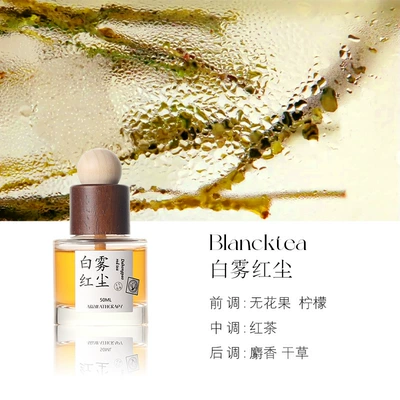 Fragrance-seeking tea car aromatherapy white Car Perfume Aromatherapy - white-fog-red-dust-50ml