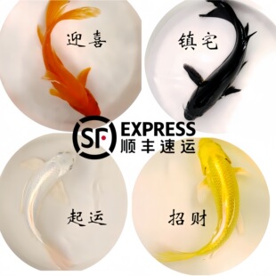 ���~���w�^�p�~�\���ݽ��~��ˮ�~�ڽ��\���\���׽��\��С���~