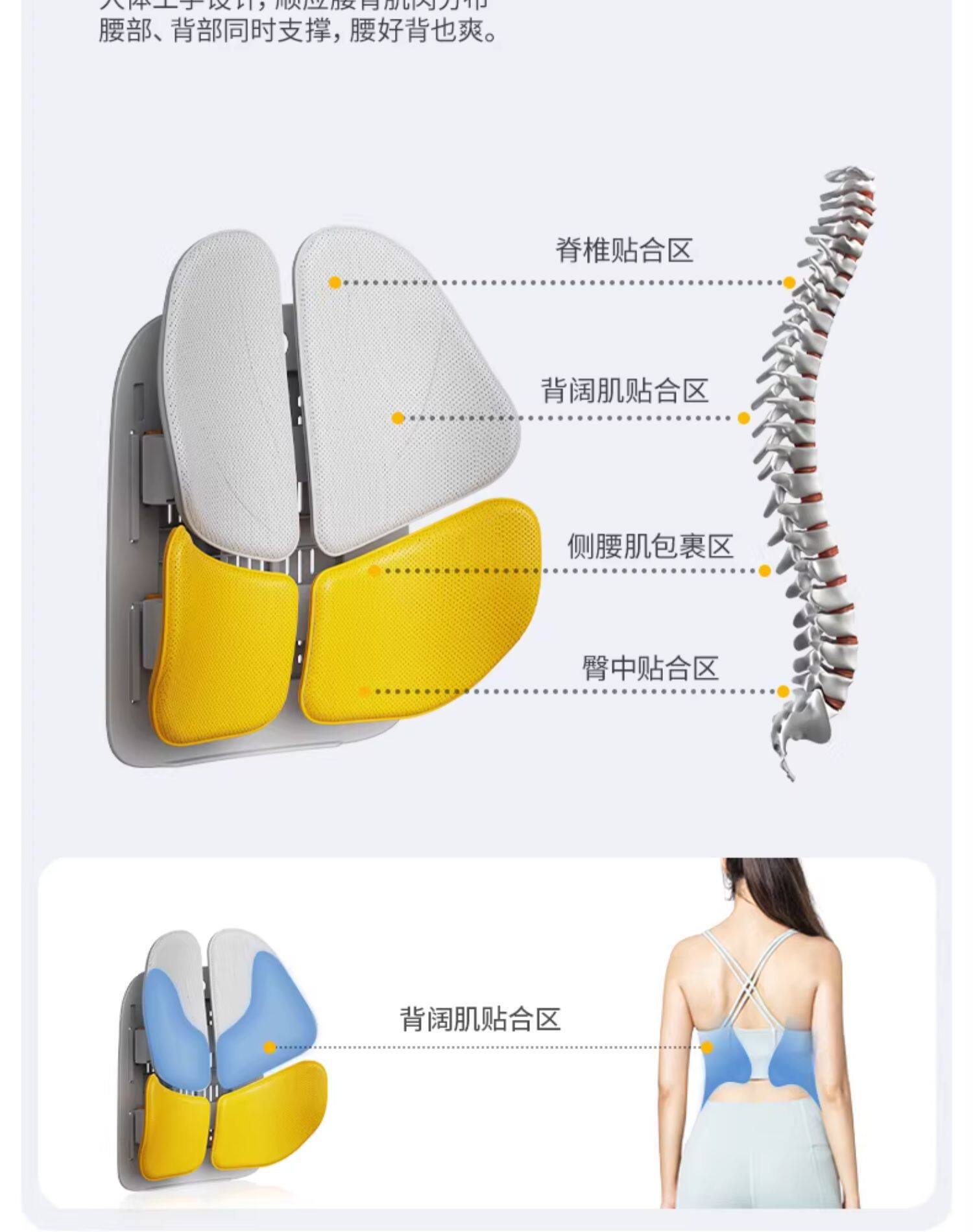 Nortech K09 four-leaf ergonomic lumbar support cushion for office, back cushion, waist support cushion, corporate gift benefit