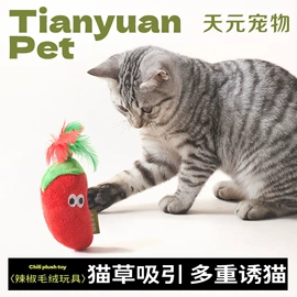 猫爬架;猫猫窝/笼/垫;狗狗玩具