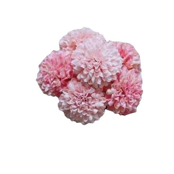 Simulation 6 big ball chrysanthemum table tennis simulation flower…
