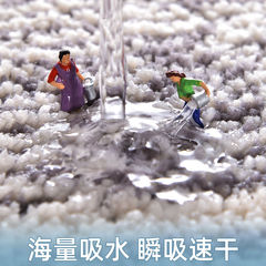 浴室強吸水地墊衛生間門口地毯洗手間防滑墊子進門腳墊陽台家薑茶