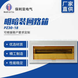 薄利多销 明暗装回路箱PZ30-18# 终端照明配电箱 回路箱带透明盖