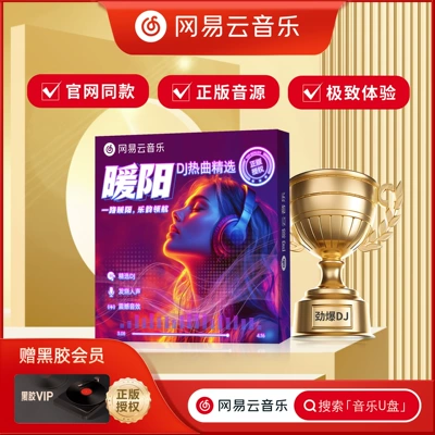 Car DVD player Drive Songs 2025 New Edition - warm-sun-8g-authentic-netease-cloud-music-hot-dj-lyrical-series