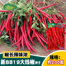 ��8819�����N�����l �r��ˈ@�L�������r���ø��������߲���