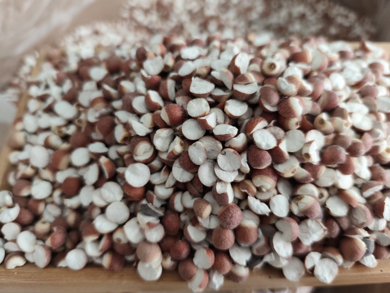 Dried Euryale Seed Qian Shi 芡实 Whole Round Kernels 10mm Grade 1 Herbal Grain for Soup and Congee specifications