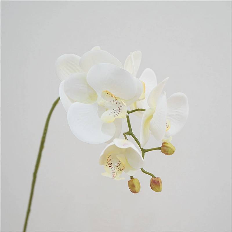3D-Printed Phalaenopsis Artificial Flower Stem, Realistic Touch, 36 cm, 6-Bloom