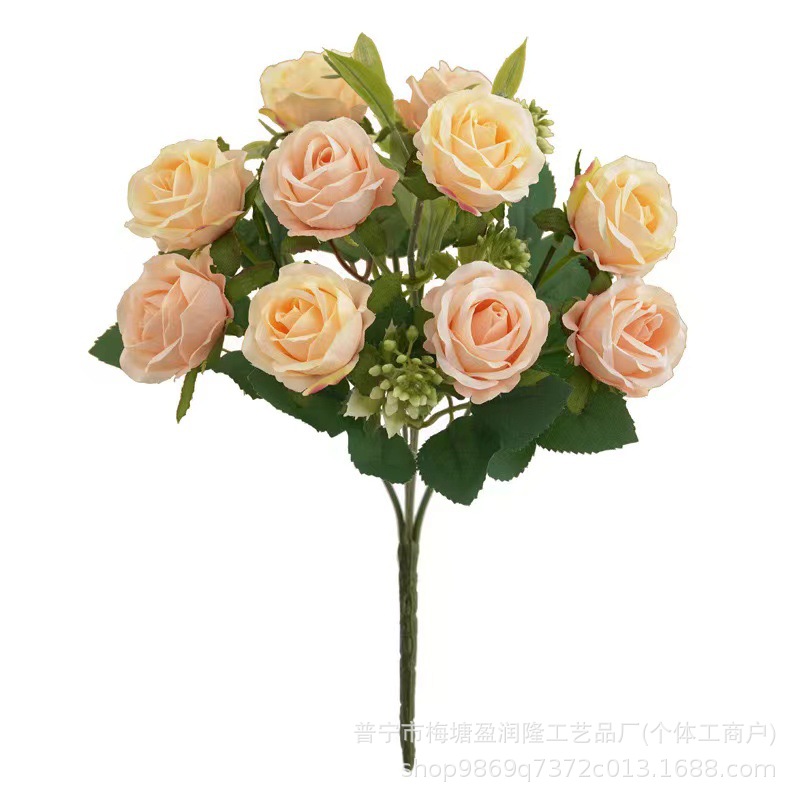 샴페인