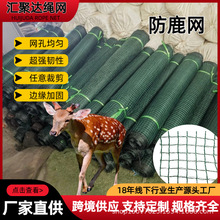 防鹿网 麻雀大棚苹果树聚乙烯尼龙网防护防雹网厂家 果园防鸟网