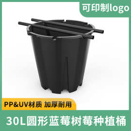 大棚种植蓝莓盆 30升蓝莓基质盆圆形塑料花盆 透水透气花盆厂家批