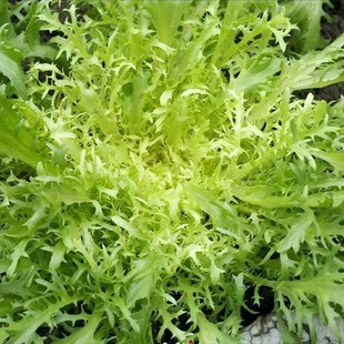 ���ķN���ļ��߲� �̨ͥԺ����ˮ���߹������~���Ŀ����׷Nֲ