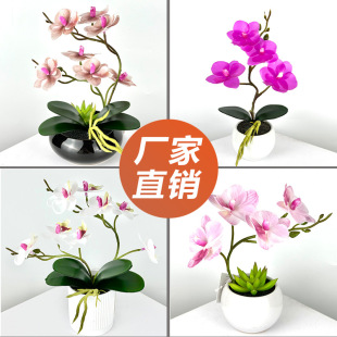 ������滨С�A�������zƬ�����m�辰�����҃�С�[������ֲ������