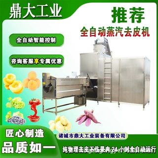 全自动桃子蒸汽去皮机 黄桃 水蜜桃去皮设备 葡萄剥皮机