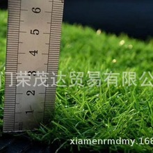 KoaSֱNl칤؇ٲƺ׃@˹Gɫƺ