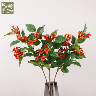 �¿����4�^���̻� �zƬ�ڼt���m���͏d�廨�zӰ ��c�������̻�