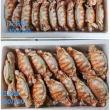 �з����t��зȫҎ���зˮ�a���r�����؛�����������