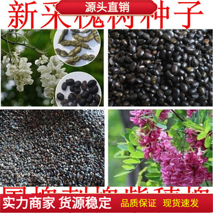 �²ɇ����N������������N���S�����t�����̻��N�����뻱�̻�����