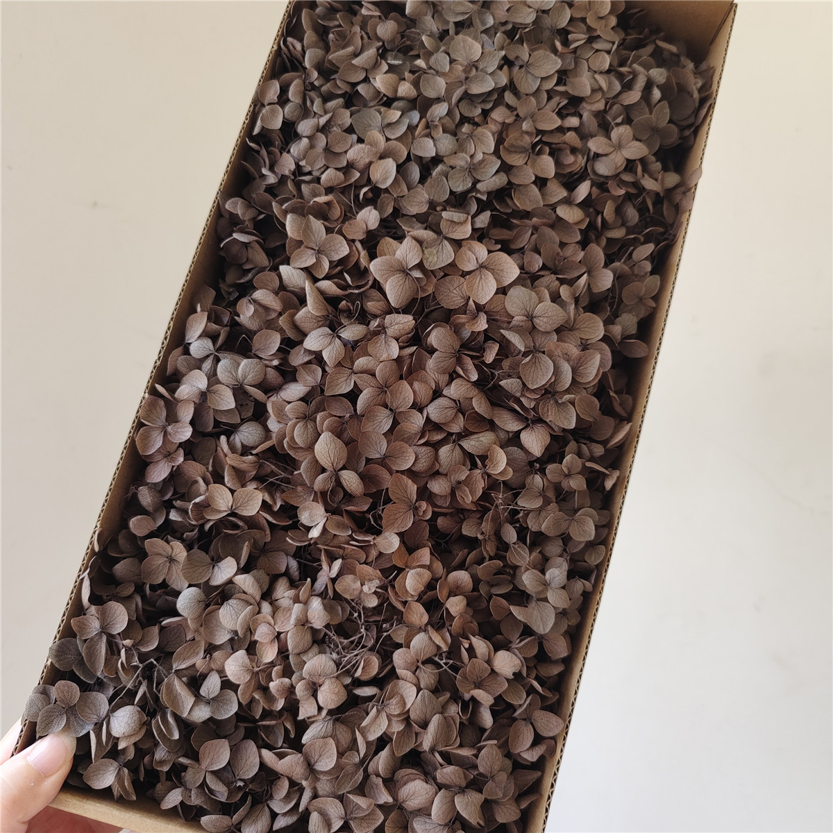 Flor eterna Hortensia Anna pequeña hoja flor seca flor real árbol de Navidad ventilador hecho a mano ramo DIY material paquete flor