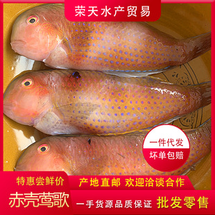 �����L���~�O�����l ���~�t�L���W�^�~������r��ˮ�a��庣�~