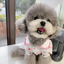 ���N��̩����Ȯ���w���tС�w̩�ϲ豭Ȯ��ë��ɫ����̩�ϻ��ﹷ��