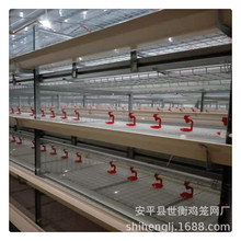 老工厂做全自动化养鸡设备新款肉鸡笼框架肉鸡笼常年外贸批发