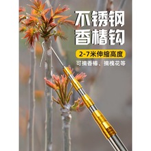 摘椿芽神器勾香椿芽勾子摘春芽钩草杆子够槐花香椿掰香椿工具打香