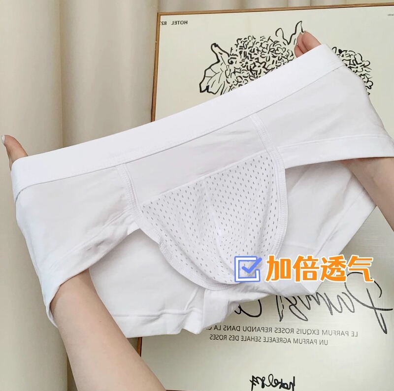 Men's Briefs Mesh Breathable Modal Comfortable Underwear Youth Briefs Sexy Youth Sexy Underwear