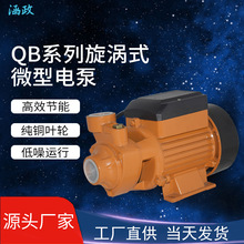 出口型家用自吸旋涡泵QB60QB70小型增压纯铜电机220V清水泵