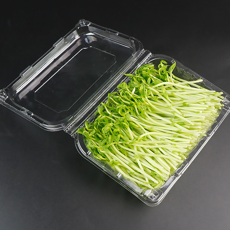 蔬菜盒38