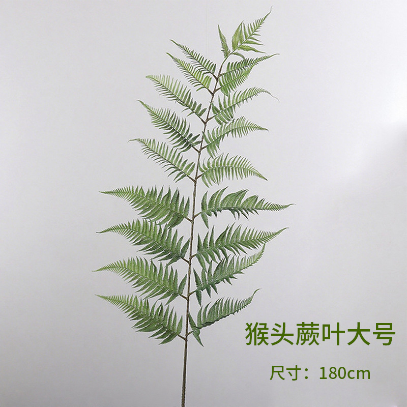 Hoja de Huperia Grande 180cm