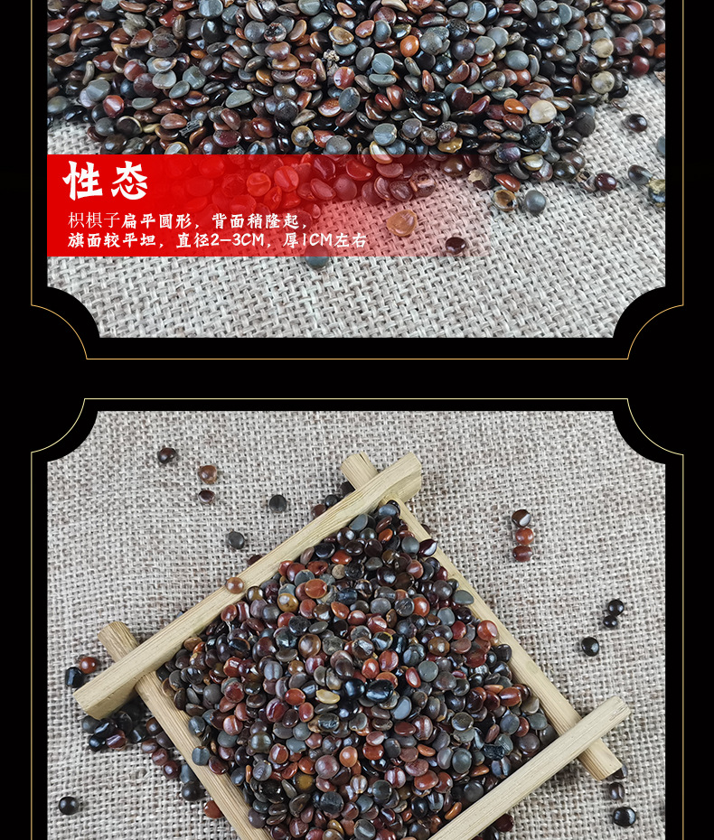 Dried Hovenia Dulcis Seeds Zhi Ju Zi Natural Raisin Tree Fruit for Herbal Tea and Decoction 500g specifications