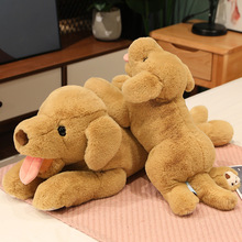 ِ��ſ����������С�����з����ë������ż��ܛ���σ�ͯ�������