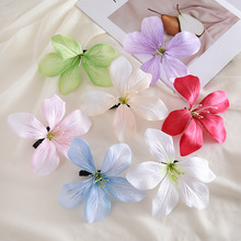 �羳��Ʒ3D�ΌӰٺϻ���l�AŮ������߅�A���w�m���^�������m�l�A