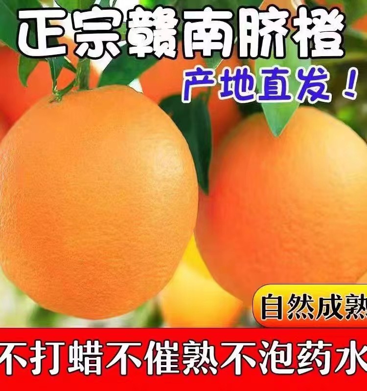 赣南脐橙新鲜橙子现摘现发产地直发江西赣南甜橙纯甜爆汁