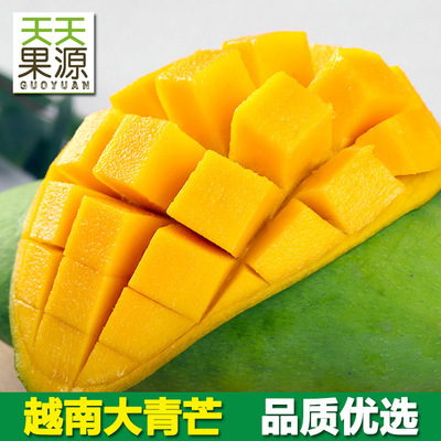 越南大青芒9斤大金煌芒新鲜当季水果 批发一件代发非海南贵妃台芒|ms