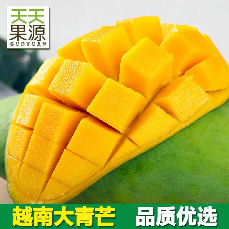 越南大青芒9斤大金煌芒新鲜当季水果 批发一件代发非海南贵妃台芒|ms