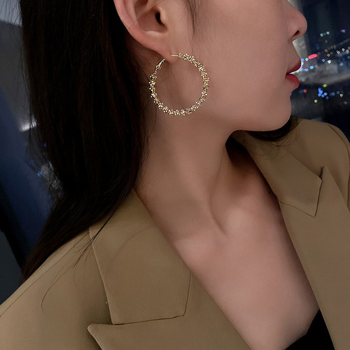 Silver needle metal cold style earrings, Korean style simple twist earrings, light luxury and high-end earrings wholesale