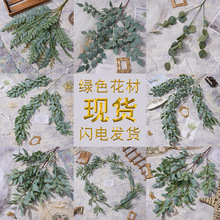 ?GɫϵGֲ쾰мپGֲ֦ɘ辳Ʒcû