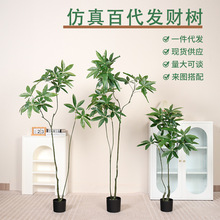 高端仿真绿植百代发财树假绿植盆栽室内客厅落地装饰摆件仿生植物