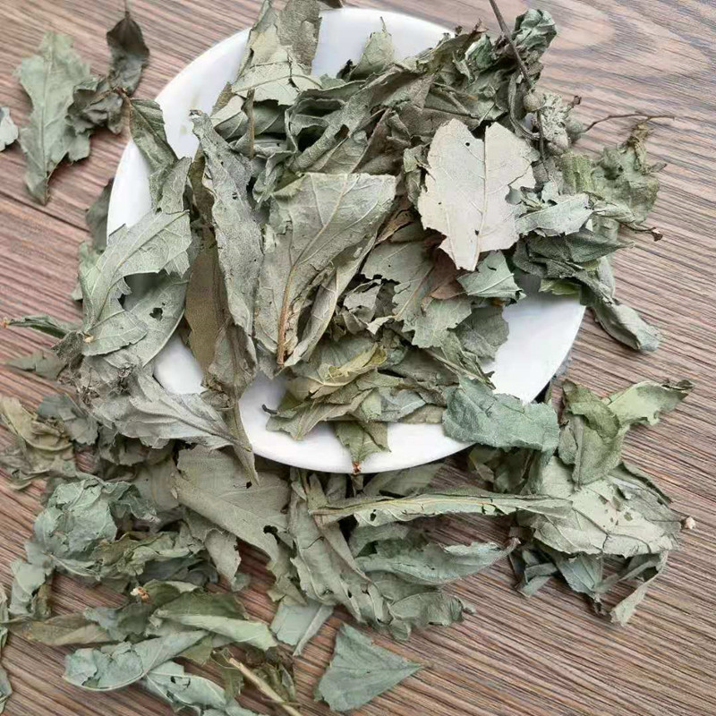 Dried Chang Shan Leaf Shu Qi Bulk Wholesale Traditional Chinese Herb Dichroa Febrifuga Leaves specifications