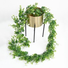 仿真尤加利叶牵牛花藤条家居植物墙装饰人造桉树叶假牵牛花束批发